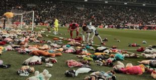 Besiktas fans throw thousands of plush toys and stopped match 