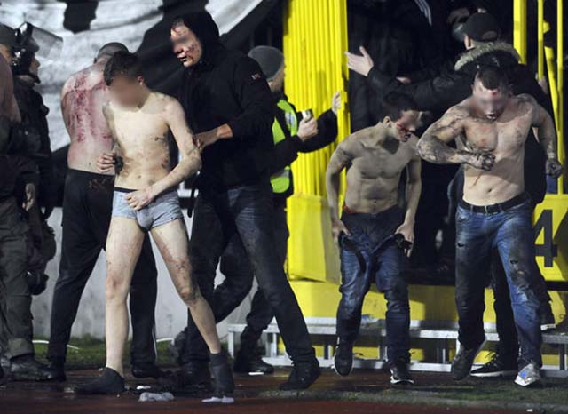 FIFAUTeam on X: FK Crvena Zvezda and Partizan Belgrade, both from
