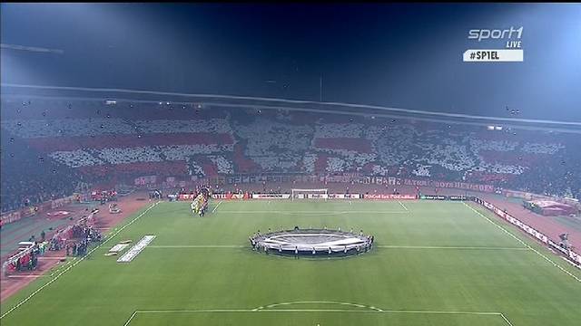 ultras zvezda koln