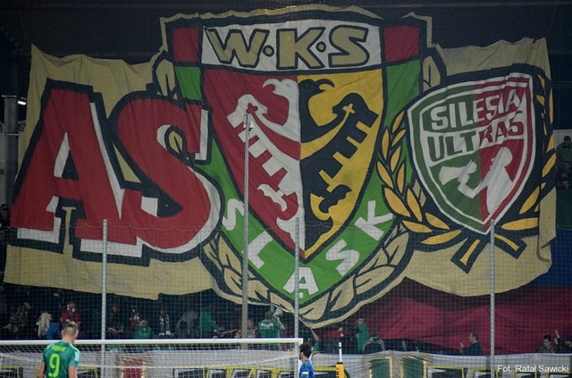 miedz slask 1