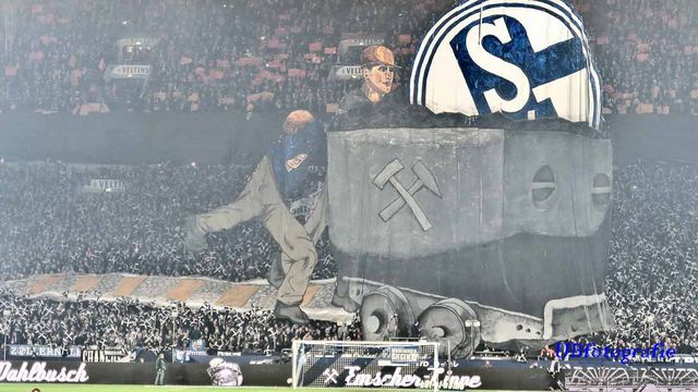 schalke bayer 1