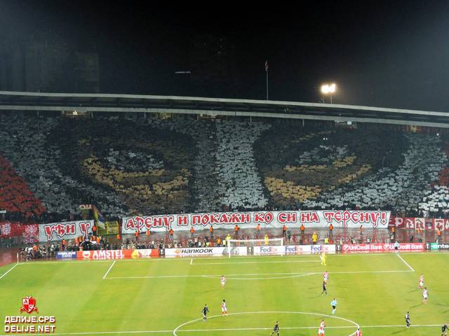zvezda cska ultras