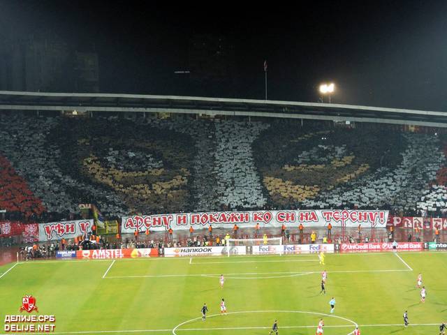 zvezda cska ultras