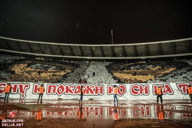 zvezda cska ultras