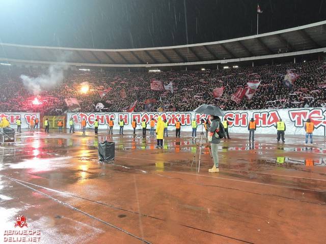 zvezda cska ultras