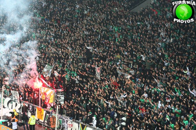 asse lyon 1