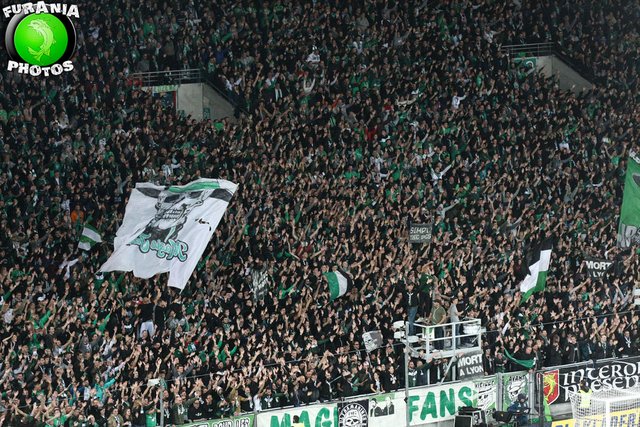 asse lyon 1