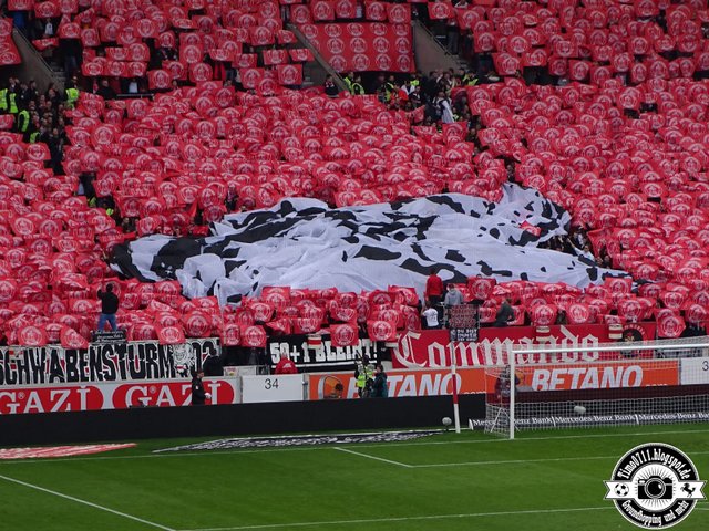 stuttgart hoffenheim 1