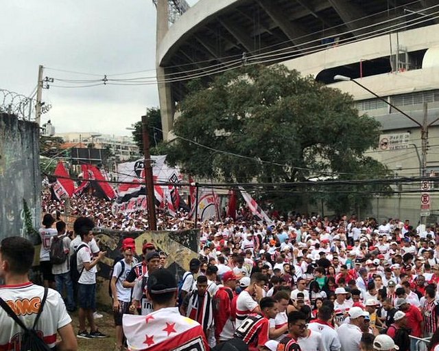 Palmeiras sao paulo 1