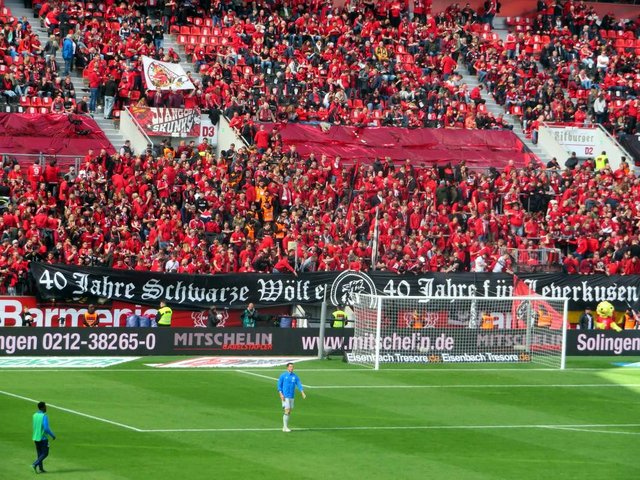 leverkusen schalke 1