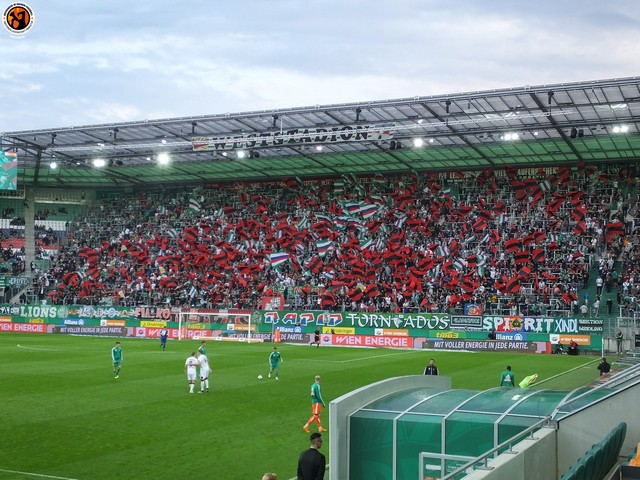 rapid fcn 1