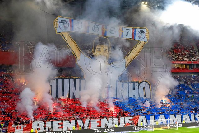 lyon angers 1