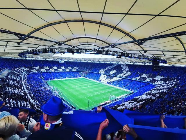 hsv hannover 1