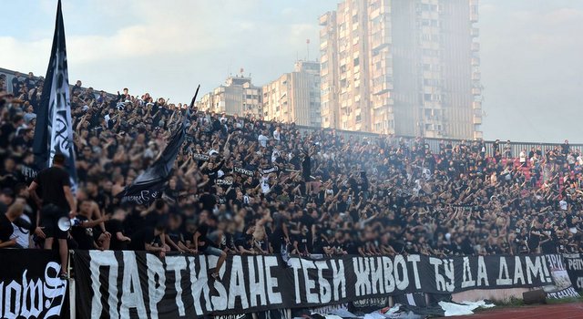 vojvodina partizan 51