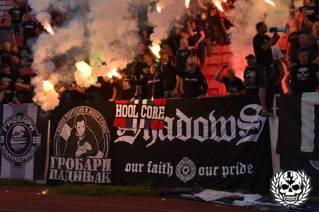 vojvodina partizan 51