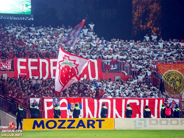 vojvodina zvezda 1