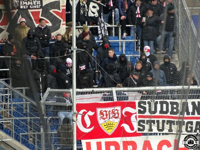 hoffenheim stuttgart 1