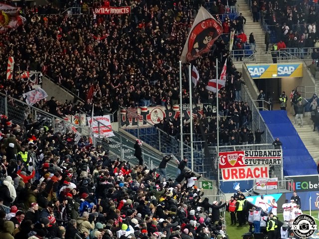 hoffenheim stuttgart 1