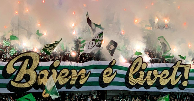 bajen tifo