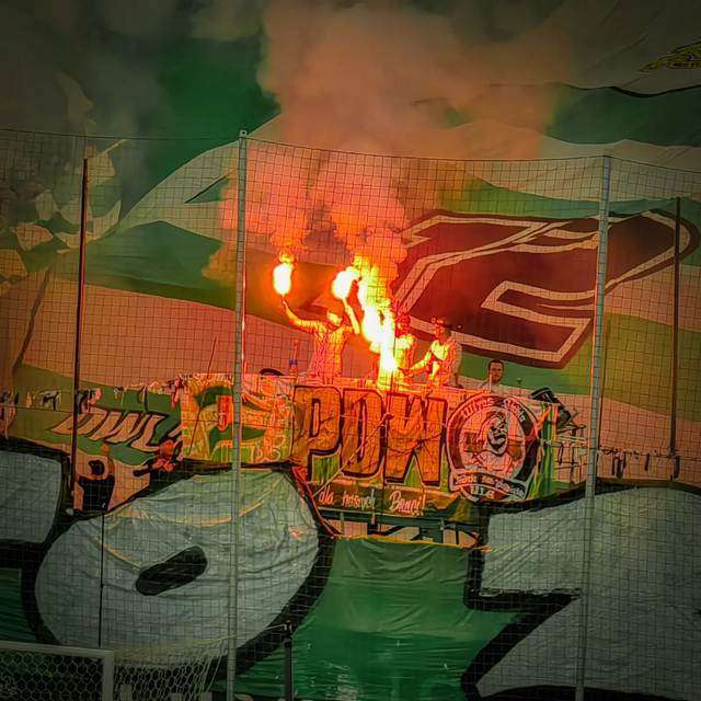 lechia lubin 1