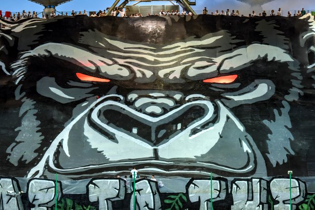 legia villa 1