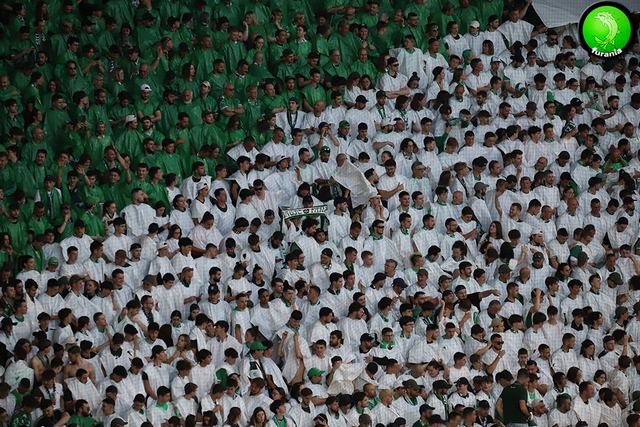 asse rodez 1