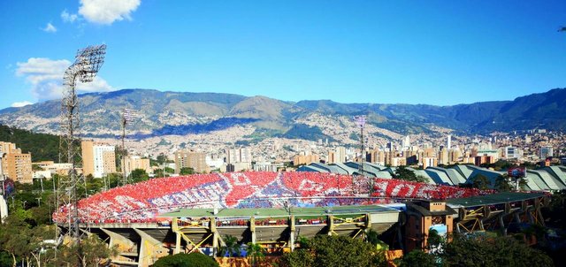 bird eye stadiums 101