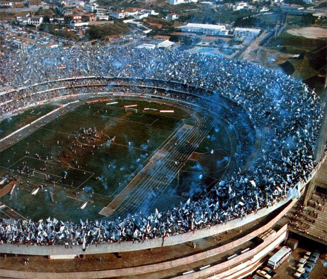 bird eye stadiums 110