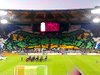 www.ultras-tifo.net