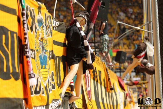 Dynamo Dresden – Ultras Schal