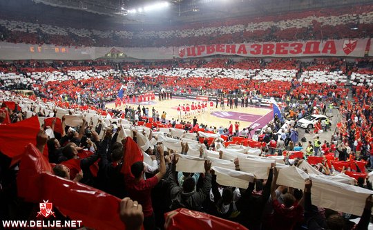 Basketball: Crvena Zvezda - Lokomotiv 17.10.2013