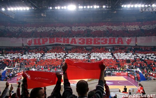 Basketball: Crvena Zvezda - Lokomotiv 17.10.2013