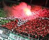 www.ultras-tifo.net