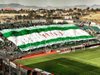 www.ultras-tifo.net