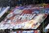 www.ultras-tifo.net